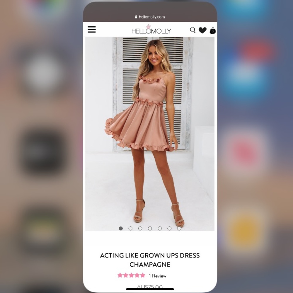 Champagne dress from hello molly